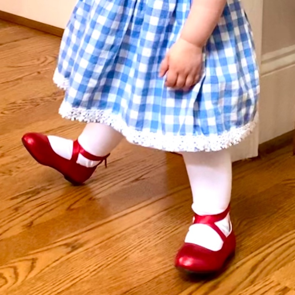 Dorothy Wizard of Oz kids girls halloween costume dress and ruby slippers